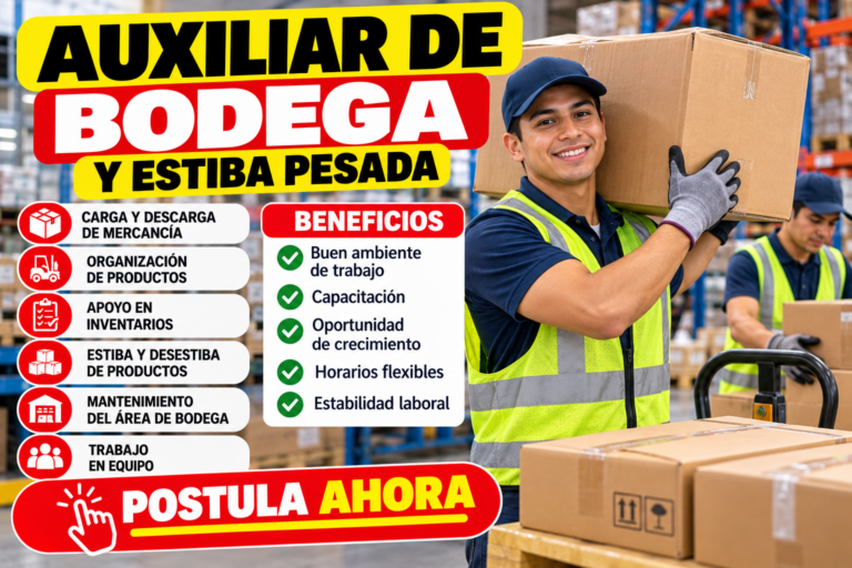 Auxiliar de Bodega y Estiba Pesada: funciones, requisitos y cómo postular